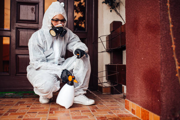 Reliable Cockroach Control contractor in Burton, SC by Nex Pest Control